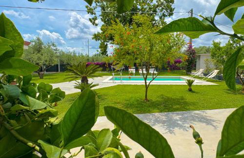 VILLA LA BOUGANVILLEA - Countryside Villa with Private Pool, Surrounded by Nature in VELLETRI - LAZIO - Foto 37