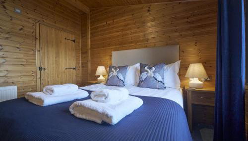 Buzzard Lodge with Hot-tub - Foto 5