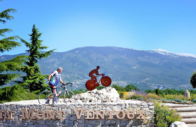 Holiday Home With Private Pool in Bedoin - Photo 32