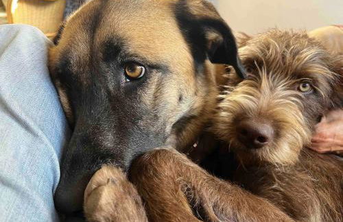 NEW! Remote cosy apartment - Foto 6