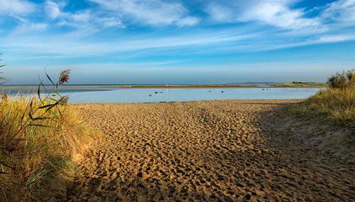 Haus Sonnenschein Sommerwiese - Foto 4
