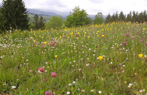 Ferienwohnung mit Gartenterrasse in der Nähe vieler Wanderwege und Ausflugsziele - Foto 20