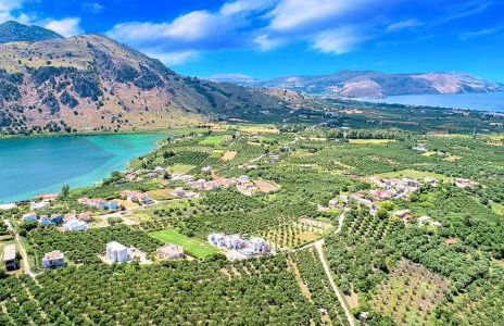 Allas Villa Heated Pool - Photo 7