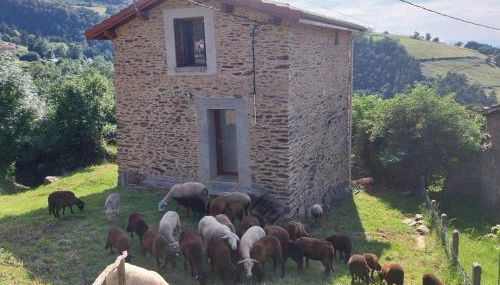 Gîte rénové avec terrasse et animaux acceptés à Saint-Chamond - FR-1-496-324 - Foto 2