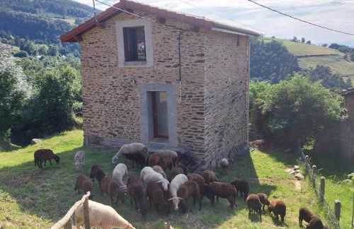 Gîte rénové avec terrasse et animaux acceptés à Saint-Chamond - FR-1-496-324 - Foto 2