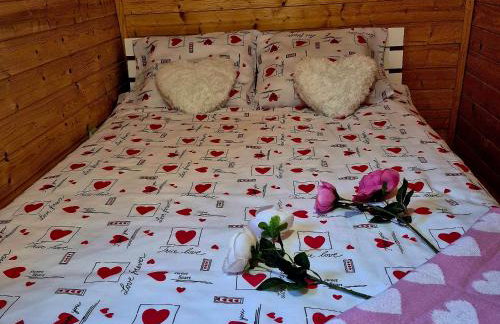 Noclegi "LAS WYPAS" Trzcianka - Foto 44