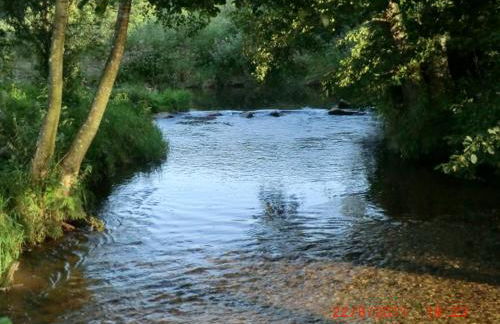 Les Gites de l étang :Studio à 20 mn de Gerardmer - Foto 33