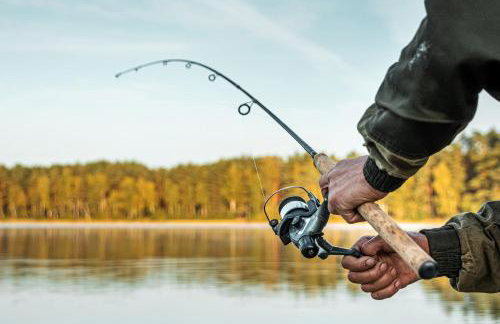 Brzozowa Chatka - Dom nad Jeziorem - Wellness & Ceragem - Foto 26