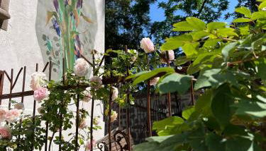 Domaine Bohème I art de vivre - Foto 3, Garden