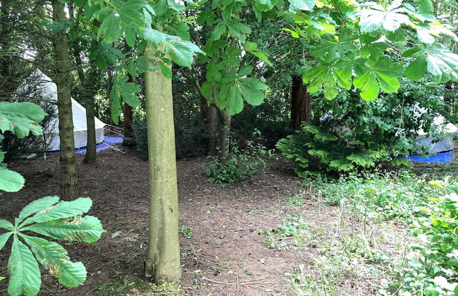 Woodlands Basic Bell Tent 3 - Foto 23
