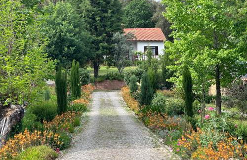 Quinta Do Pereiro - Foto 24