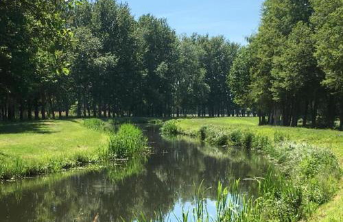 Waldblick Forest Retreat - Foto 67