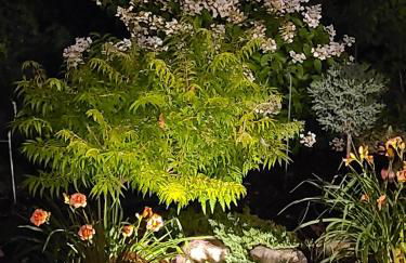 Everchanging Seasons-Hot Tub, Game Haven & Central Retreat - Foto 28