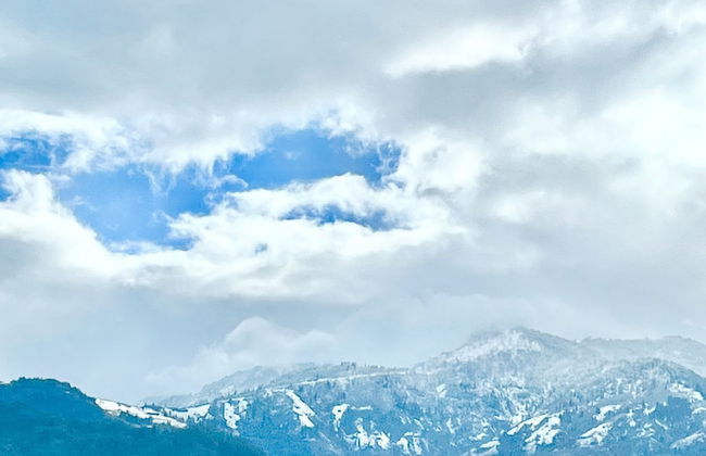 Poyraz Dağ Evleri - Foto 27