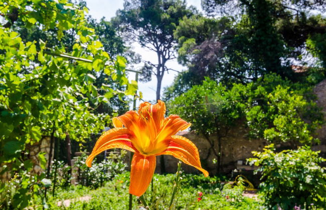 Apartments Eos & Vespera - Foto 55