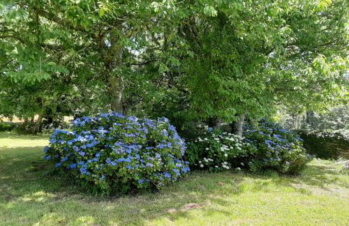 La Sellerie - Photo 20