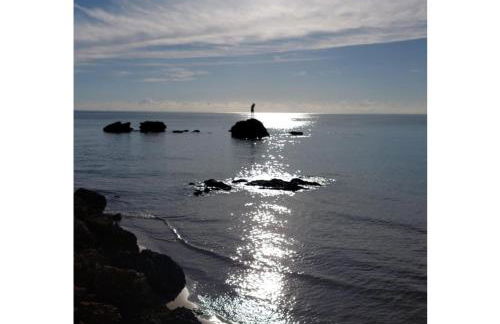 Residence La Fenice - Foto 24