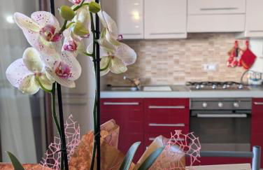 Casa Tartaruga - Foto 2