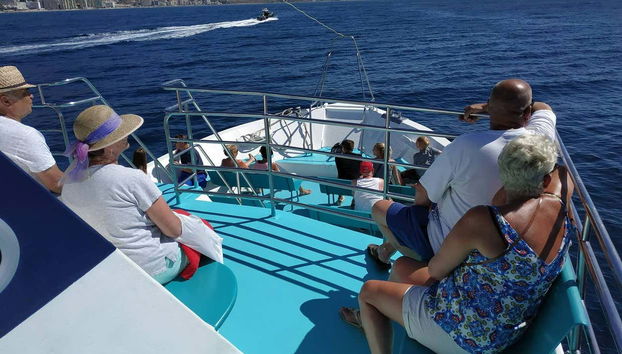 Un grupo de turistas disfrutando la experiencia