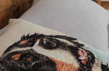 Villa Rosa Tarvisio - Foto 16