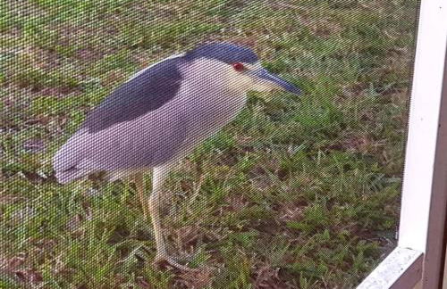 Woodstork Pond Cottage - Foto 36