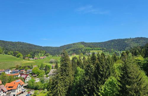 Ferienwohnung Tannenballett mit Panorama über den Schwarzwald in Baiersbronn - Foto 7