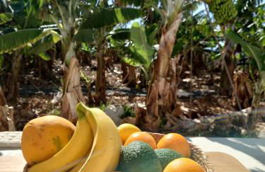 Finca Don Victor - Foto 22