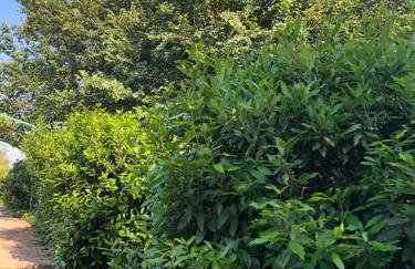 Appartamento da Vjeri - Foto 26