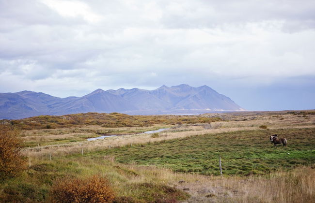 Hestaland Riverside Cottage - Foto 23