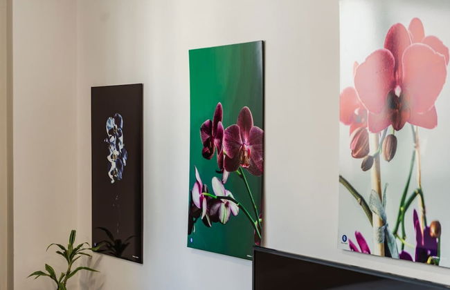 Modern Studio by the Beach - Orkidea - Foto 2