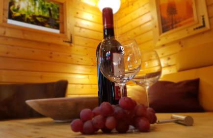 Naturerlebnisdorf Blauvogel Hasselfelde - Foto 39