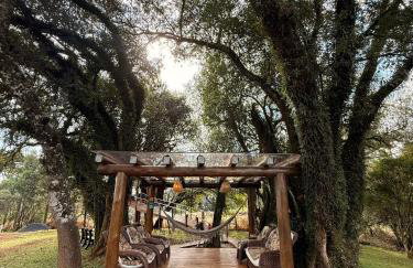 Casa na Árvore em Guarapuava - Foto 12