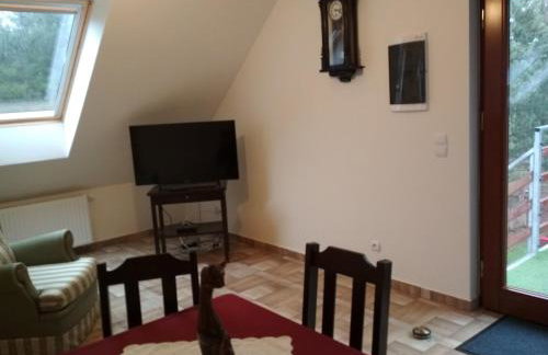 Koci Grzbiet Agroturystyka - Foto 5