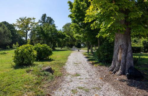 Apartment Winery Villa Vitas - App- 5 by Interhome - Foto 53