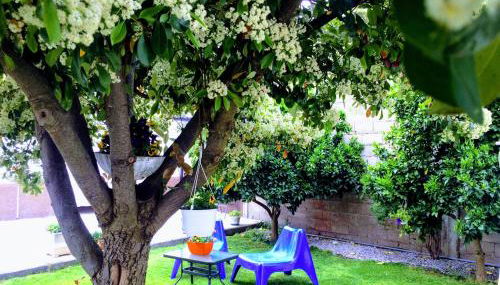 Casa de Férias MariCeu Mirandela - Foto 5, Garden