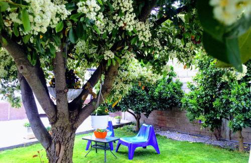 Casa de Férias MariCeu Mirandela - Foto 5