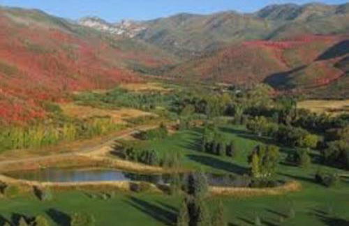 Midway to Heaven! BRAND NEW 5 bed 4.5 bath, HOTTUB - Photo 35