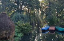 Zum alten Müller-Jäger - Foto 38