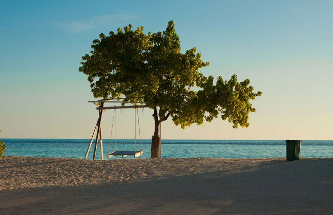 Excursión a la isla de Gulhi - Foto 4