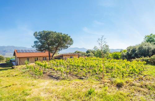 Tuccios villa - Foto 29