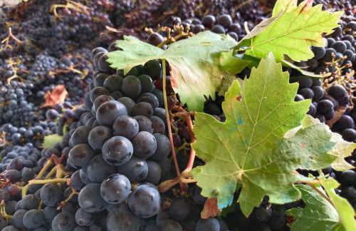 Agriturismo La Bulletta - Foto 75