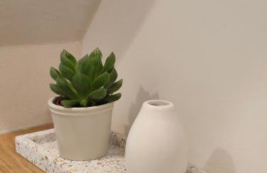 Apartments 11 - Photo 6