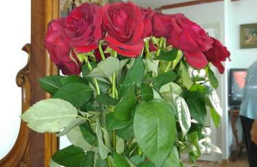 Luxury Apartamenty - Photo 71