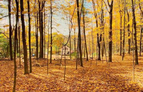 Modern Cottage Perfect for Glamping in New York State - Foto 8