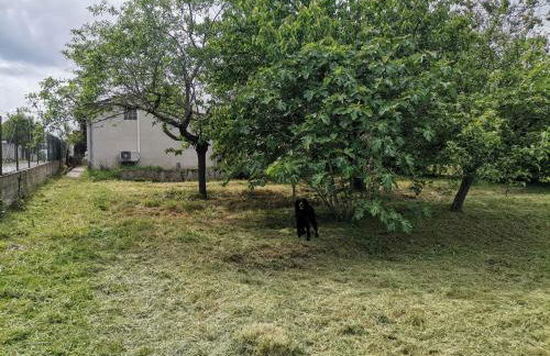 maison avec jaccuzi privatif - Foto 35