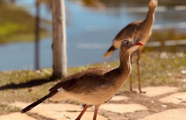 Lagamar Hotel Varginha - Foto 19