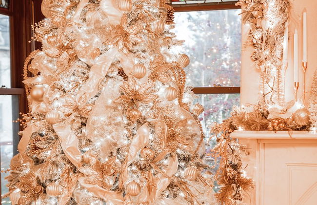 The Underwood-Hale House - Foto 16