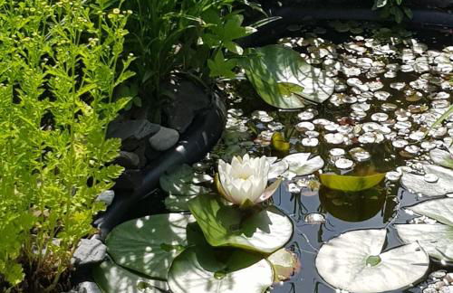 Ferienhaus "Am Gehre" - Foto 20