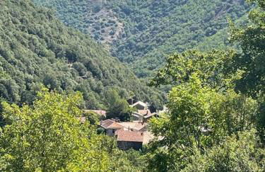 Appartement de Charme dans un Ancien Mas Cévenol piscine et jacuzzi - Foto 51