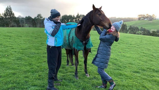 Jilly Park Farm Interactive Experience - Foto 5, Habitación